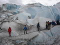 Glacier Trekking