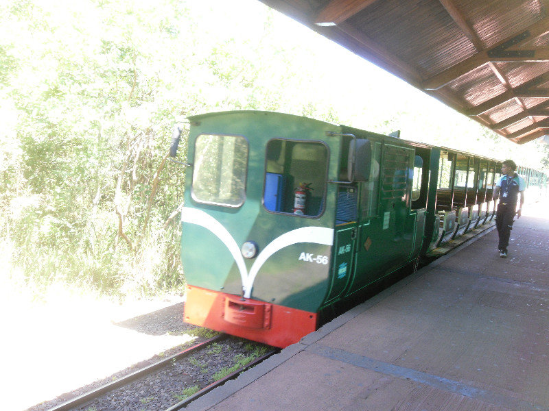 Train in Iguazu National Park