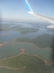 View from the plane of the jungle!