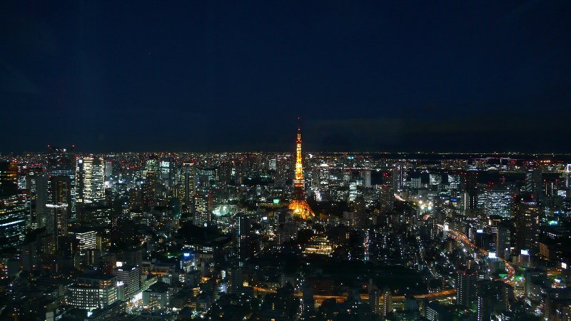 Tokyo sea of light