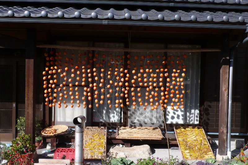Drying persimmons