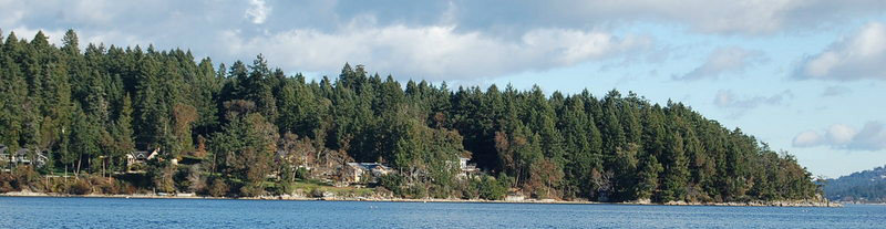 View at Mill Bay Marina