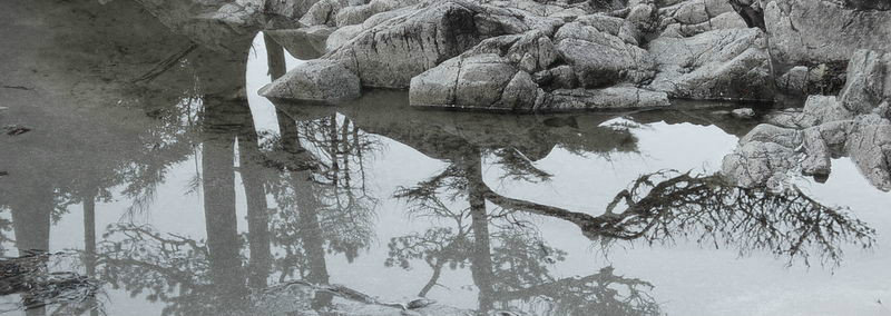 Shadow on Tonquin beach