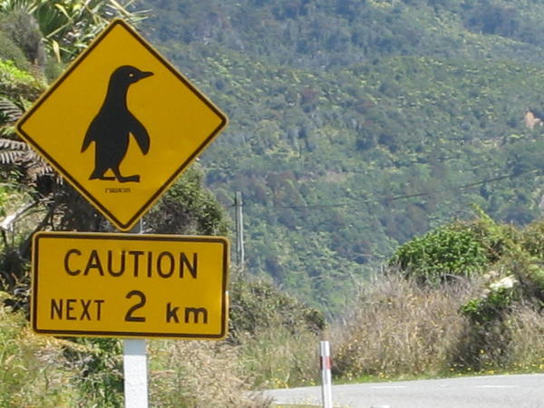Penguin Road Sign