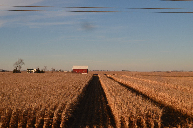Iowa cornfield - Copy