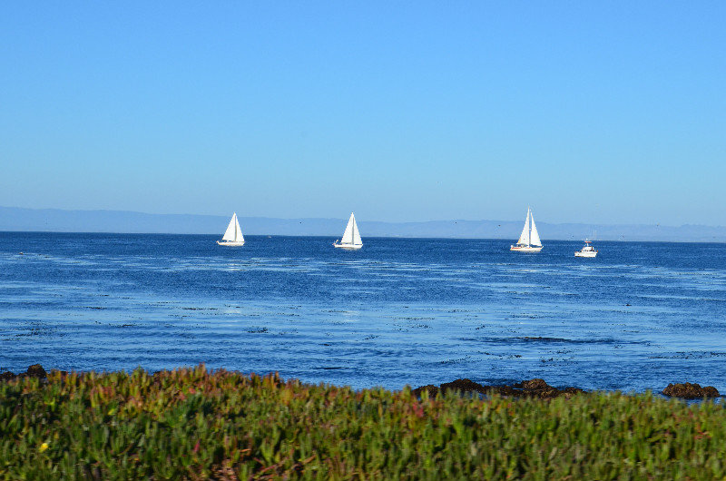 Along the  Ocean View Boulevard in Pacific Grove