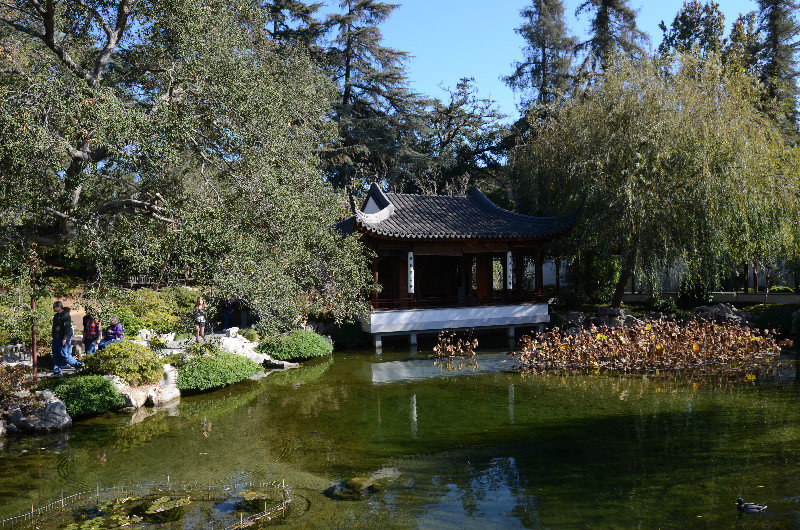 The Chinese Garden at the Huntingdon