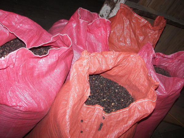 bags o' dark beans