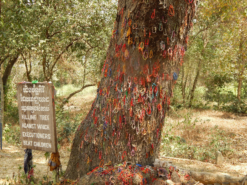 Children were executed on this tree