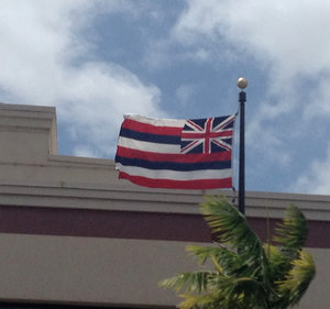 Hawaiian Flag