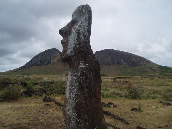 A moai takes a moment