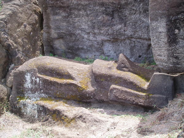 Rano Raraku moai in situ 