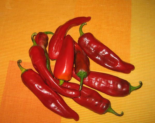 Santiago's peppers