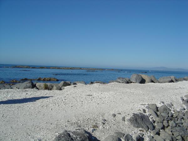 Kaikoura Beach 