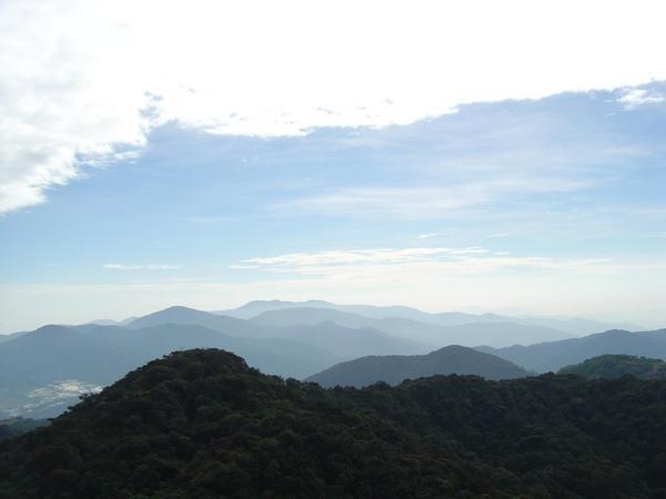 Cameron Highlands