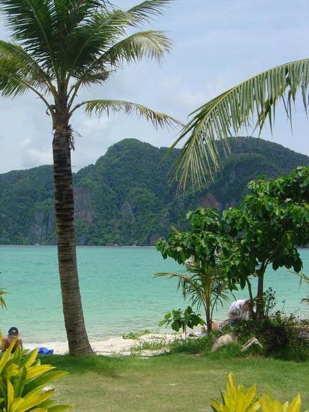 Famous Phi Phi Islands