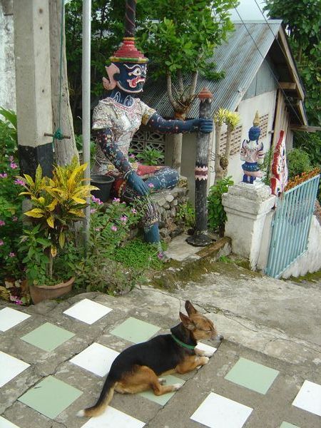 temple dog