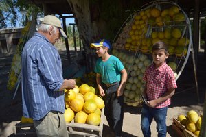 Buying a Melon on the road