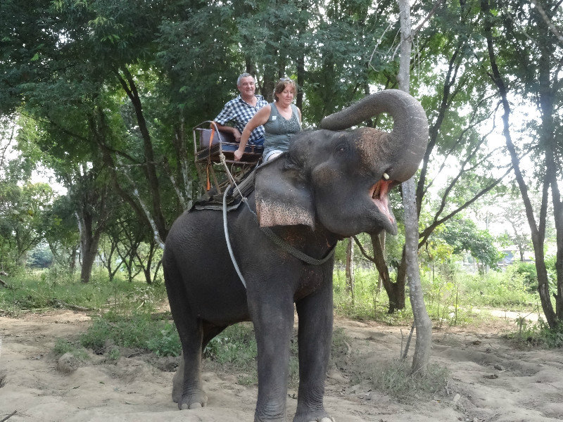 Moira riding elephant - guess what I am saying