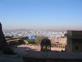 Jodhpur - the blue city!