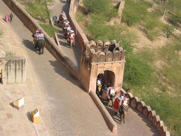 Elephants Climbing to Amber Fort