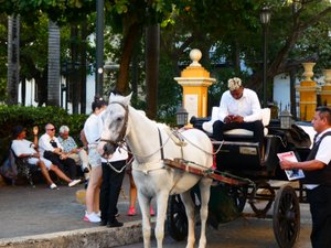 Cartagena - one of the many horse drawn carriages