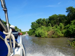 Heading up the river, following the only other boat from Isla Bandita 