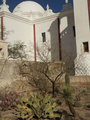 Garden and Dome of San Xavier