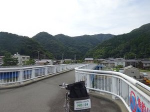 cyclist's bridge