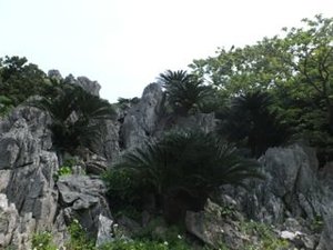 the limestone crags