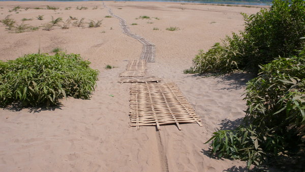 Bamboo path to the ferry along the beach