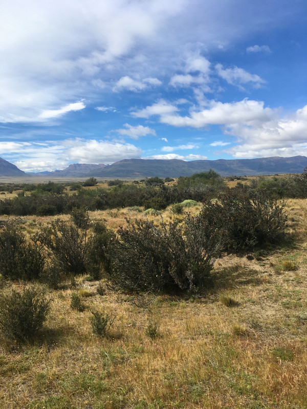 Paysage typique de Patagonie