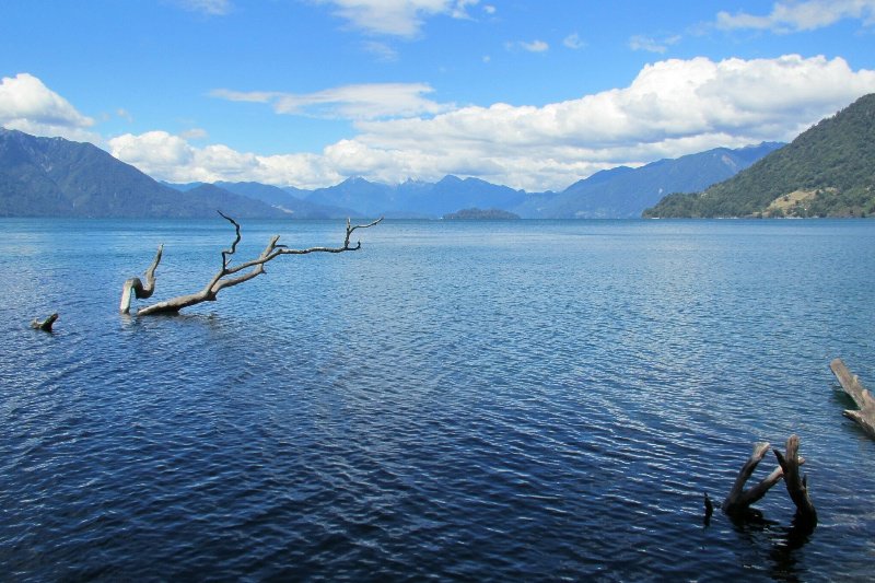 National Park (visited from Puerto Varas)