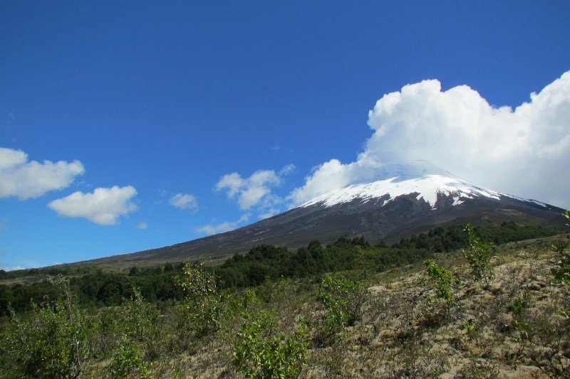 Volcano in National Park (visited from Puerto Varas)