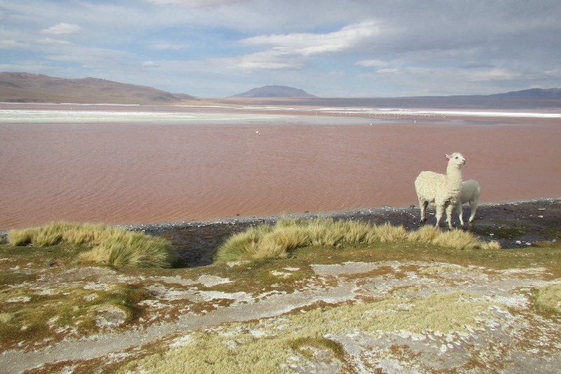 Altiplano lake