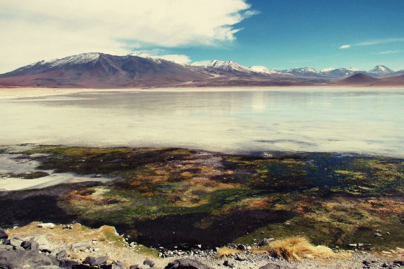 Altiplano lake