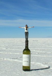 Giant bottle of wine we found on the salt flats... should keep Liz busy for a day or so. 