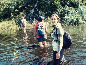 The Pantanal - wading through a swamp