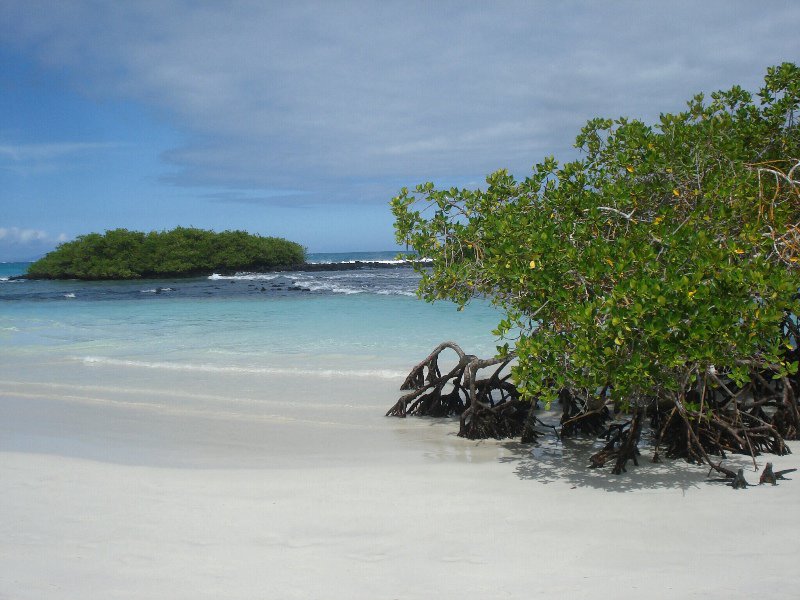 Island paradise