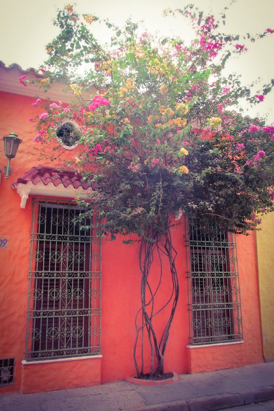 Another colourful house in Cartagena