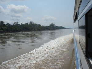 Cruising down the Amazon