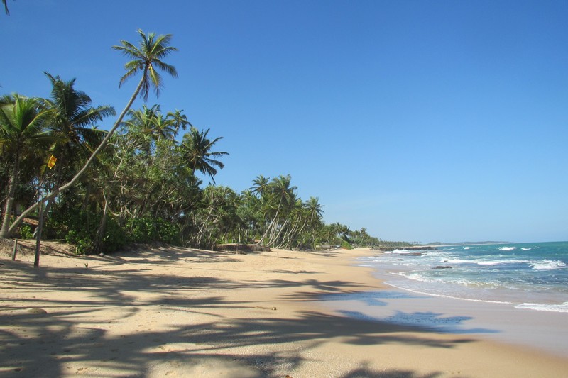 The tropical paradise of Tangalle