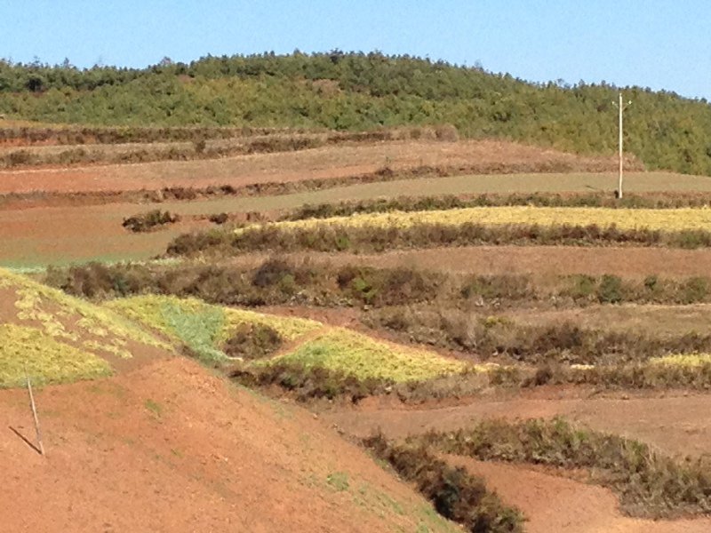 Red Earth on Mountainside, Dongchuan