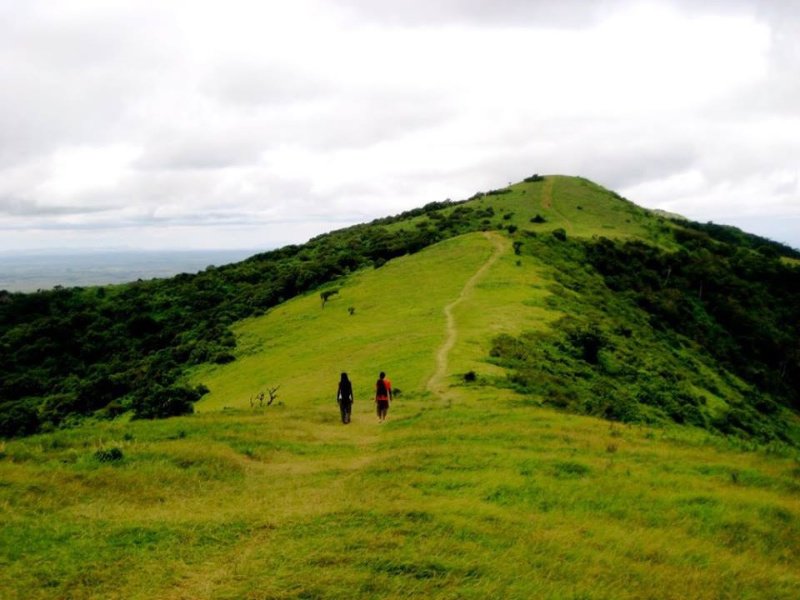 Along the ridge of Ngong Hills