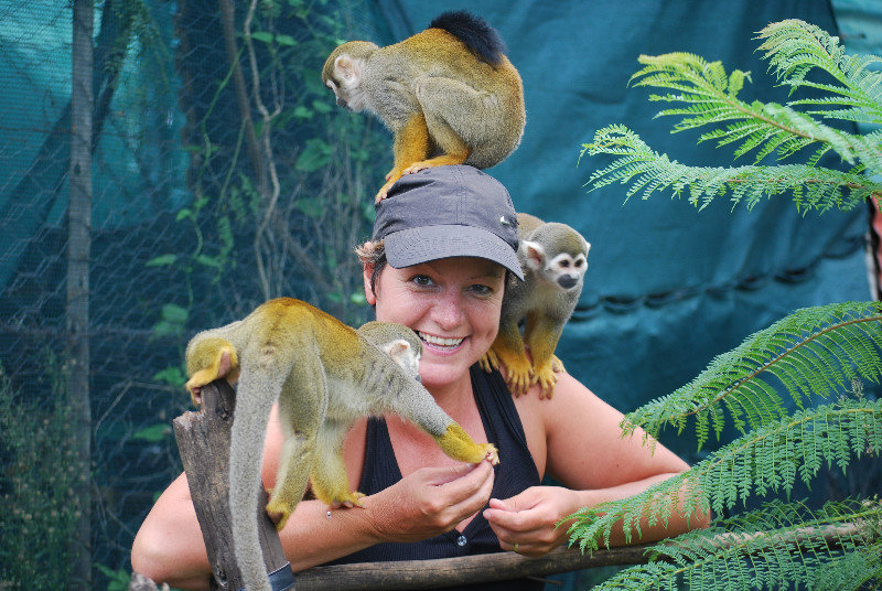 Fun with squirrel monkeys