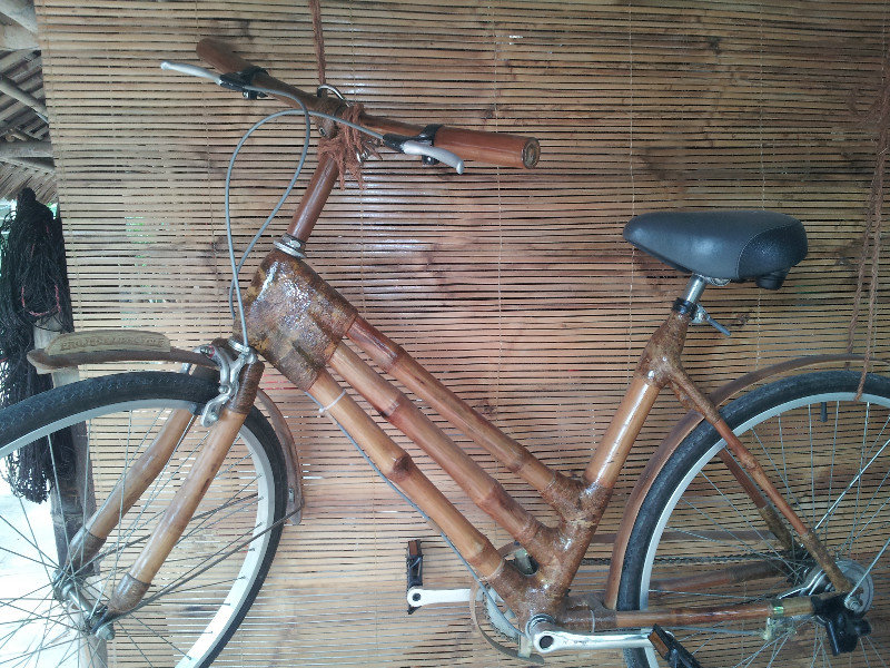 Another bamboo bike.