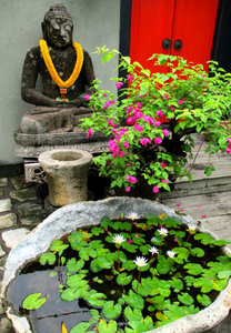 Buddha & Lotus