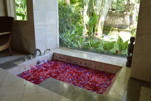Flower Petal Bath