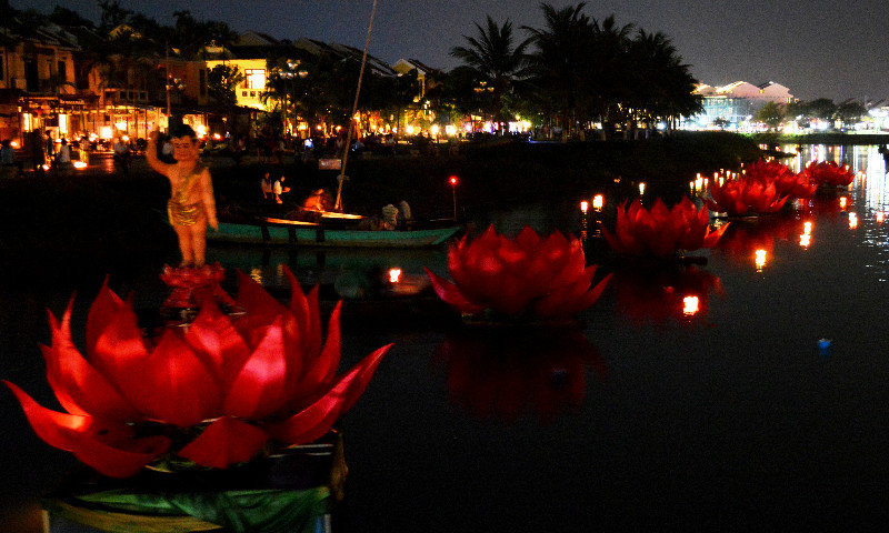  Lotus flowers on the Thu Bồn River