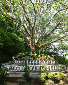 Lotus Flower structure with tree on Mount Phou Si